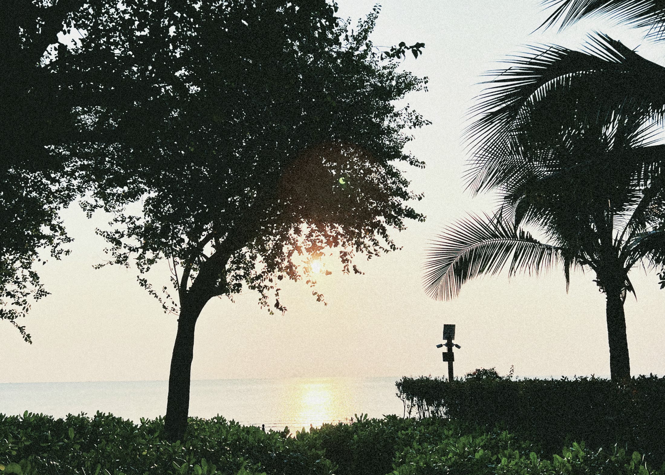 Andaz resort landscape in Sattahip